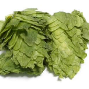 US CASCADE LEAF HOPS 1 OZ 