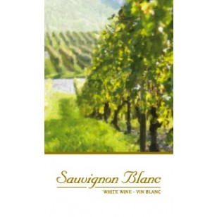 SAUVIGNON BLANC WINE LABELS 30/PACK