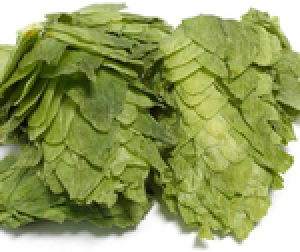 US CASCADE LEAF HOPS 1 OZ 