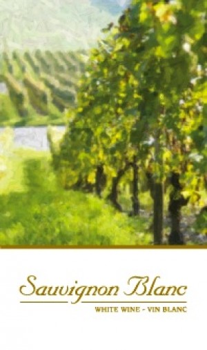 SAUVIGNON BLANC WINE LABELS 30/PACK