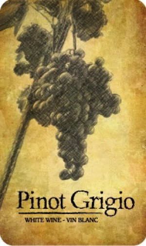 PINOT GRIGIO WINE LABELS 30/PACK