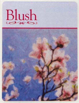 BLUSH WINE LABELS 30/PACK 