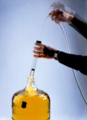 FERMTECH 1/2" AUTO-SIPHON 