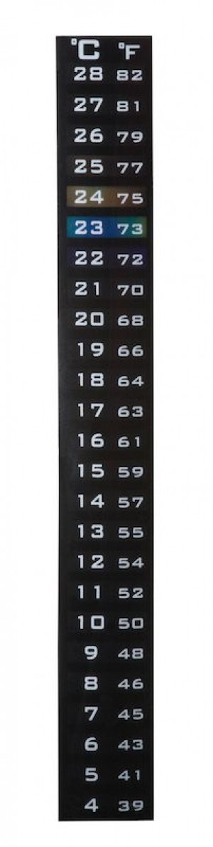 DUAL SCALE LIQUID CRYSTAL THERMOMETER