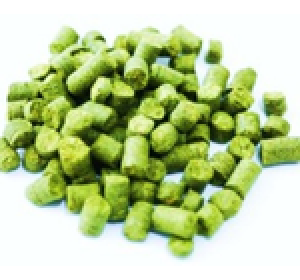 US SUMMIT HOP PELLETS 1 OZ 