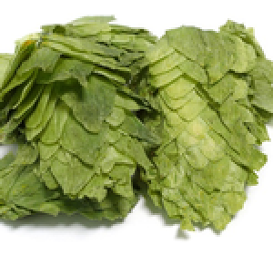 US CASCADE LEAF HOPS 1 OZ 